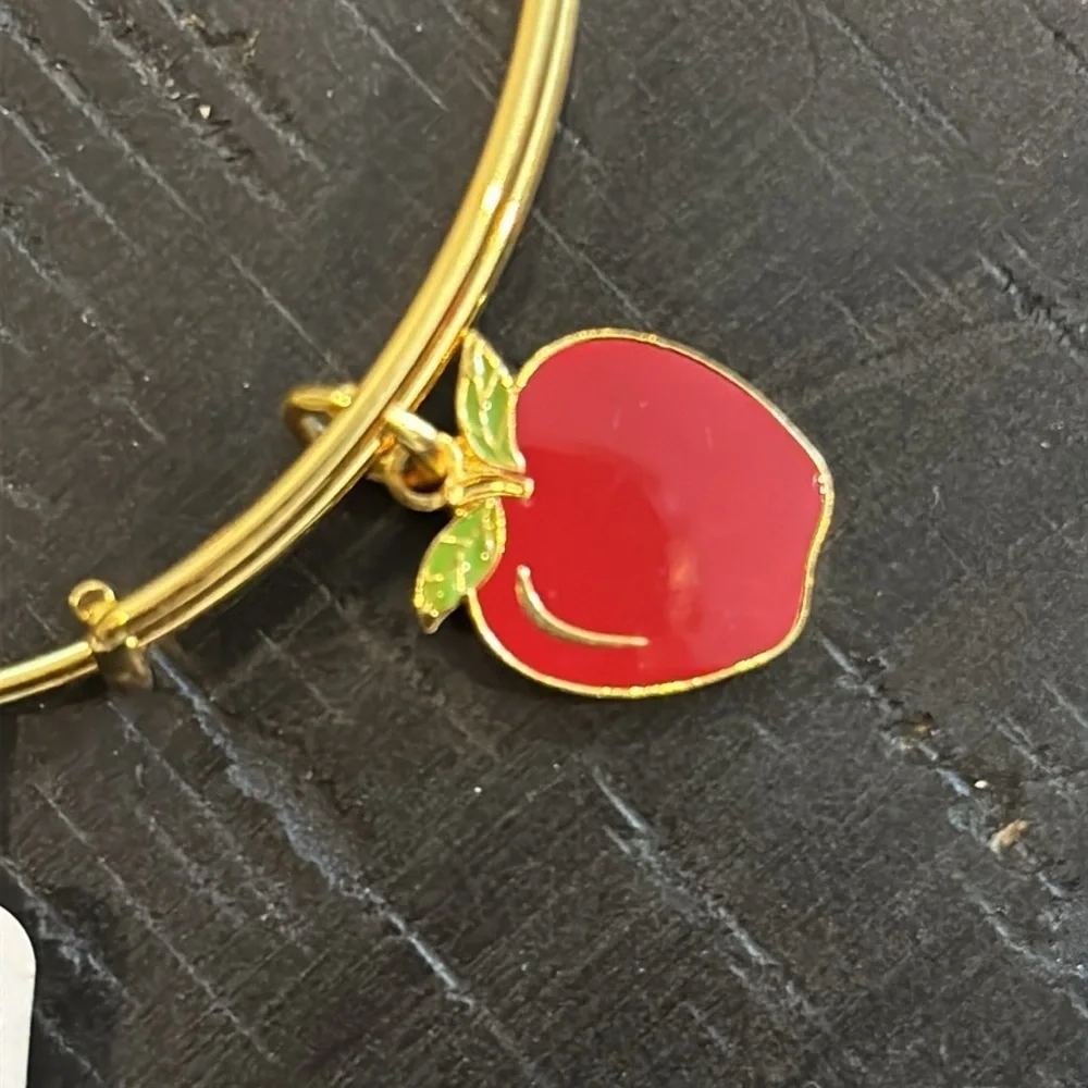 NWT Alex And Ani Red Apple Charm Bangle Bracelet Teacher Energy Adjustable​